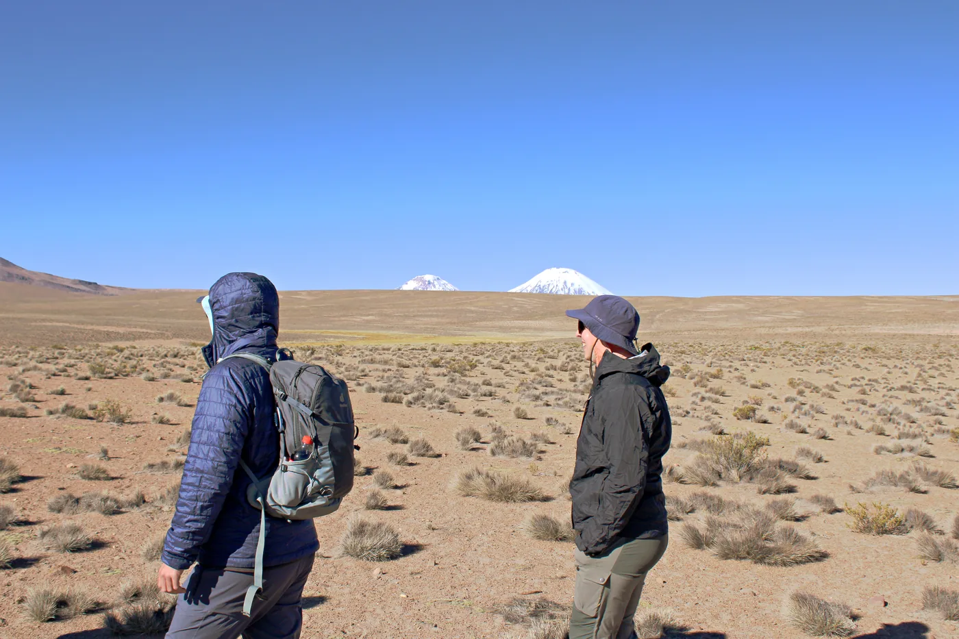 Caminata por el altiplano con los volcanes Payachatas en el horizonte