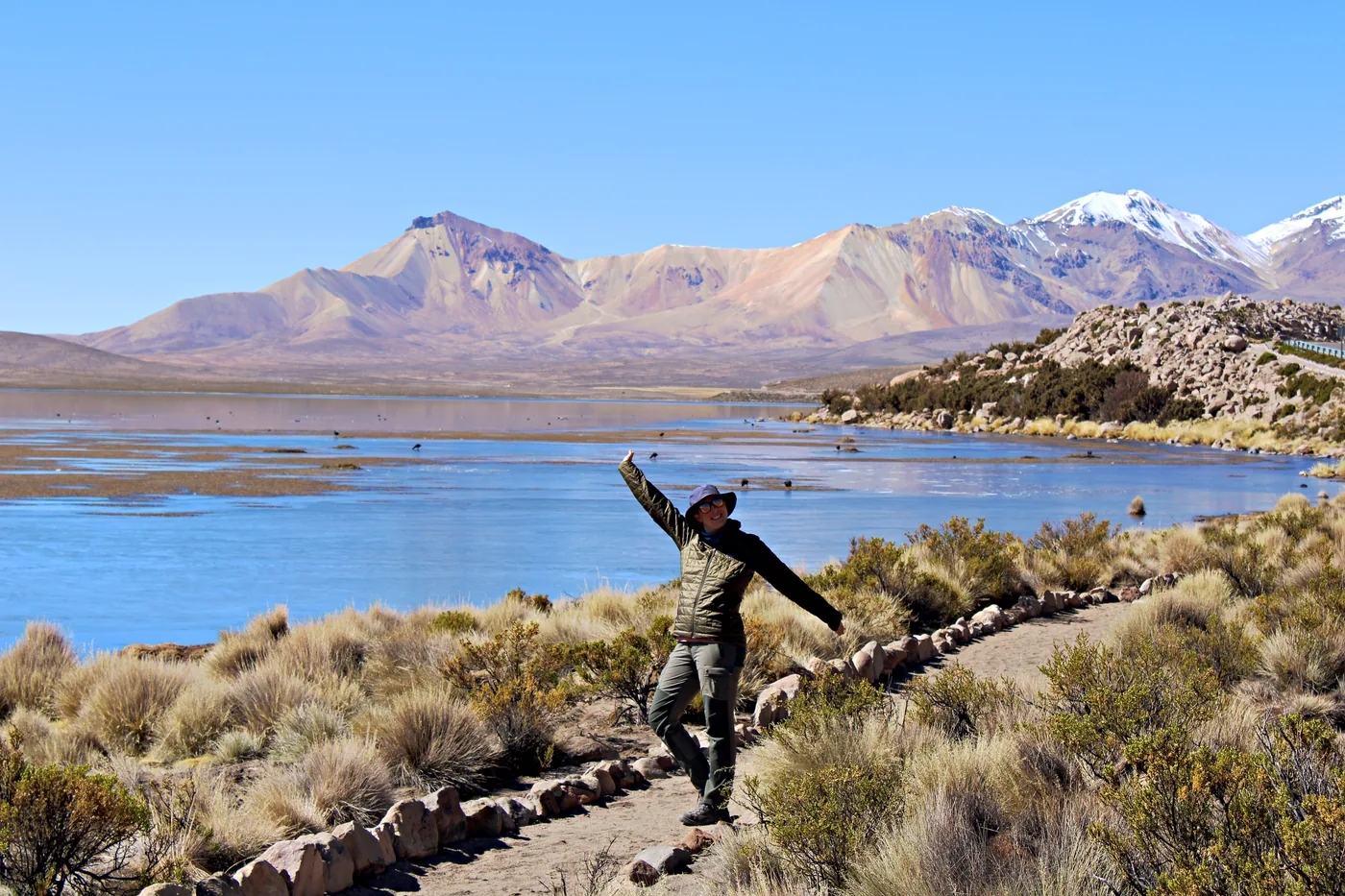 Laguna de Cotacotani entre cerros del altiplano, Parque Nacional Lauca