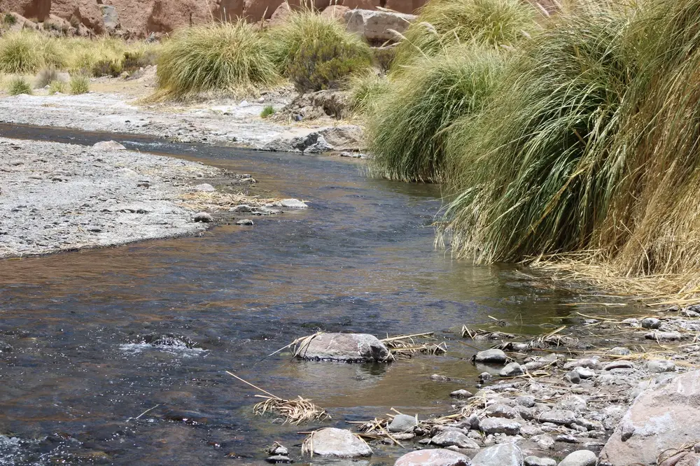 Río de quebrada en Suriplaza